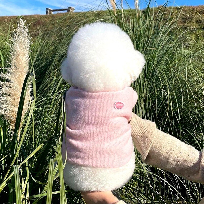 Φθινοπωρινό Πουλόβερ για σκύλους για κατοικίδια Ζεστά μαλακά ρούχα για σκύλους πλέξιμο τσιουάουα κουτάβι για μικρούς μεσαίους σκύλους Παλτό ένδυσης Yorkshire Perro