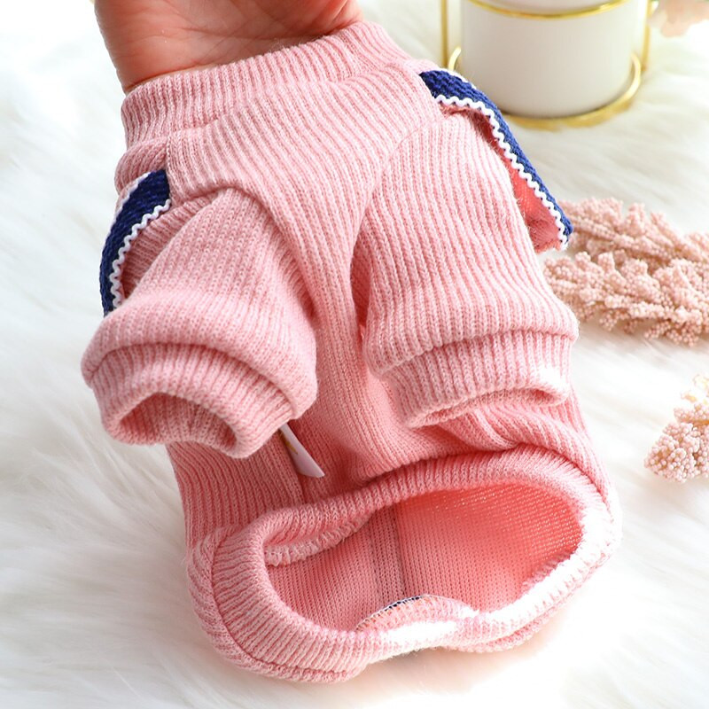Jarné oblečenie pre psov v kórejskom štýle, dvojdielne tričká s motýľovou mašľou a sveterom pre psov