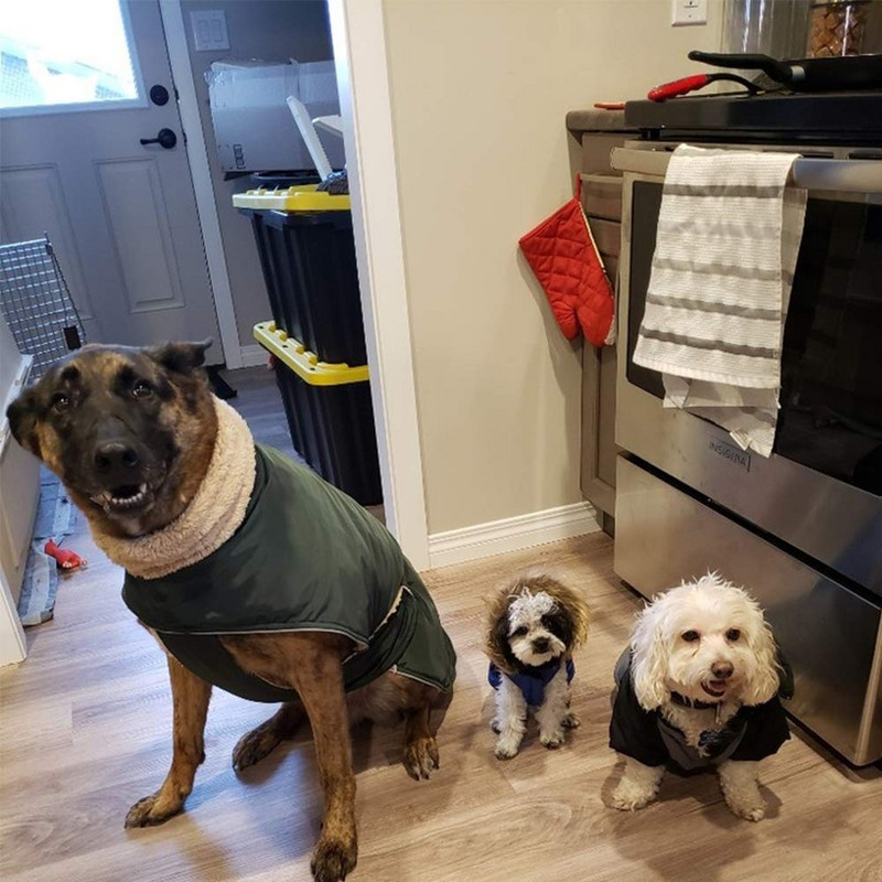 Whippet Greyhound Fleece τζάκετ σκύλου Χειμερινά ζεστά ρούχα για σκύλους Αδιάβροχα χοντρά μπουφάν για σκύλους Ρούχα πολλαπλών χρωμάτων