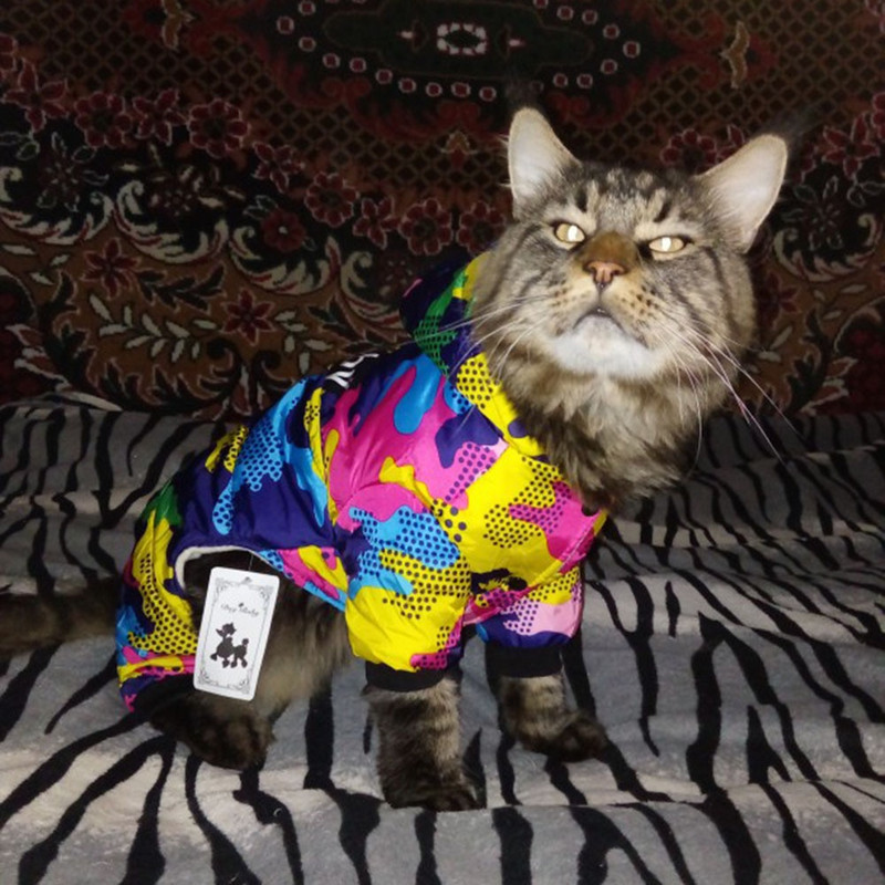 Maskovací zimný oblek pre domáce zvieratá, nepremokavé oblečenie pre psov, štvornohý šteňací kabát, teplá psí bunda s patentkou, vetruodolný kabát pre malé psy