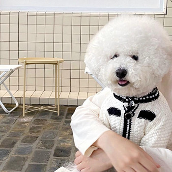 Πλεκτό πουλόβερ Ρούχα για σκύλους για κατοικίδια πολυτελή βαμβάκι για σκύλους Ρούχα γάτα Μικρό μαύρο λευκό χαριτωμένο φθινόπωρο χειμερινή μόδα αγόρι Γιορκσάιρ