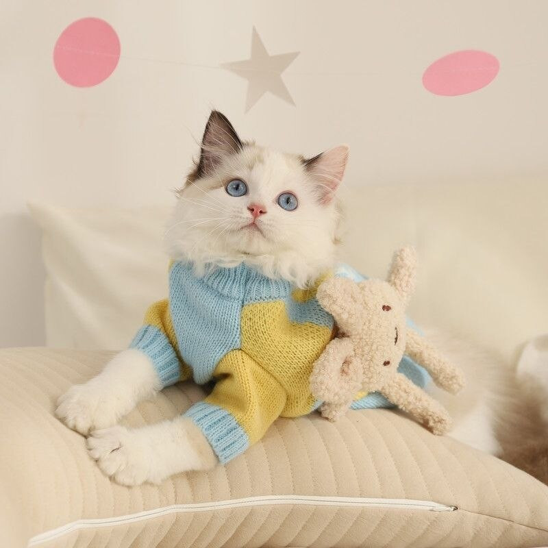 Urs Pulover Haine pentru câini Desen animat Îmbrăcăminte caldă Câini Super Mici Drăguț Chihuahua Îngroșa Toamna Iarnă Roz Mascote pentru băieți