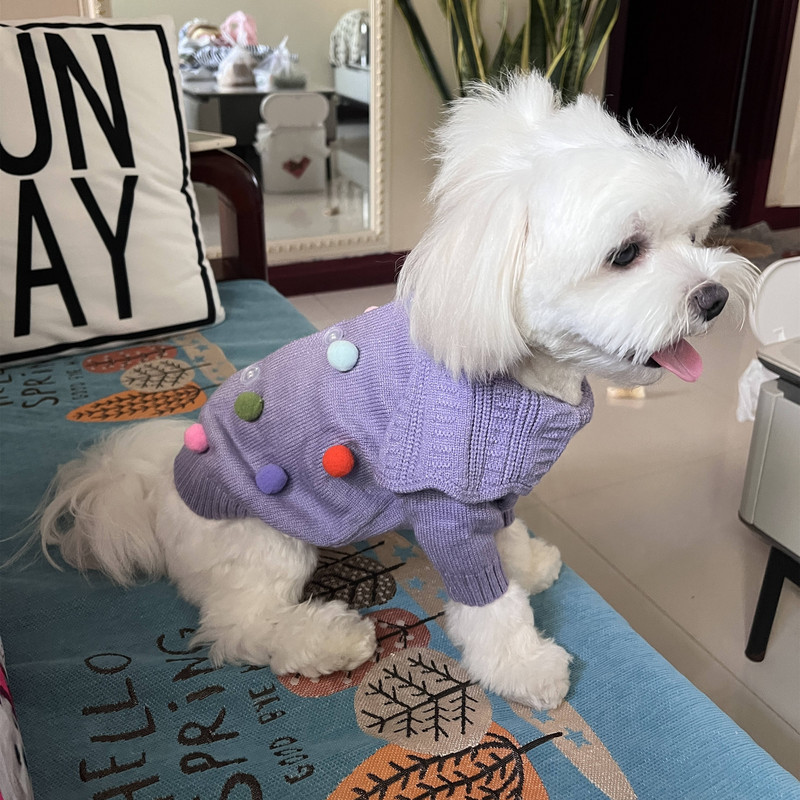 Oblečenie pre domáce zvieratá, jeseň/zima, stredne veľký, malý pes, pletený sveter, módny výstrih, jazvečík, teplý vlnený mačiatko, šteniatko, kardigan, čivava