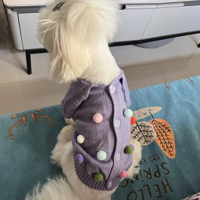 Oblečenie pre domáce zvieratá, jeseň/zima, stredne veľký, malý pes, pletený sveter, módny výstrih, jazvečík, teplý vlnený mačiatko, šteniatko, kardigan, čivava