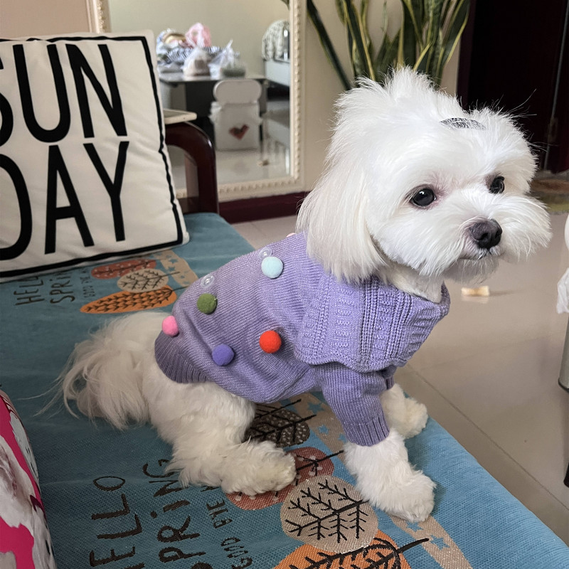 Oblečenie pre domáce zvieratá, jeseň/zima, stredne veľký, malý pes, pletený sveter, módny výstrih, jazvečík, teplý vlnený mačiatko, šteniatko, kardigan, čivava