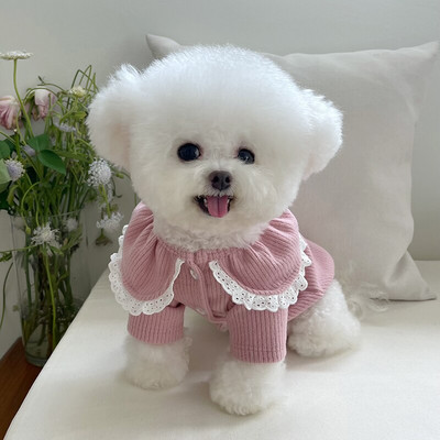 Cățeluș câine pulover tricot animal de companie pisică pulovere de iarnă haină tricotată câini mici pisoi pisici câini haine moi Îmbrăcăminte chihuahua XXS