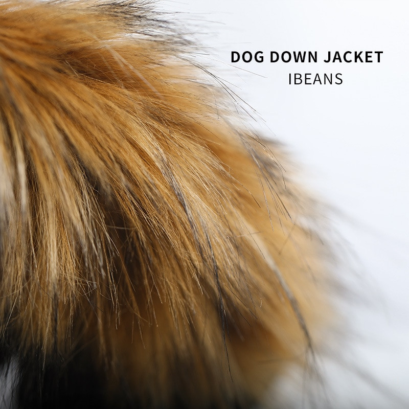 M-4XL Naminių šunų striukė, drabužiai, gobtuvai, pūkiniai, neperpučiami vėjo paltai šuniukai, šuniukai, drabužiai žiemai lauke, šilta striukė prancūzų buldogas