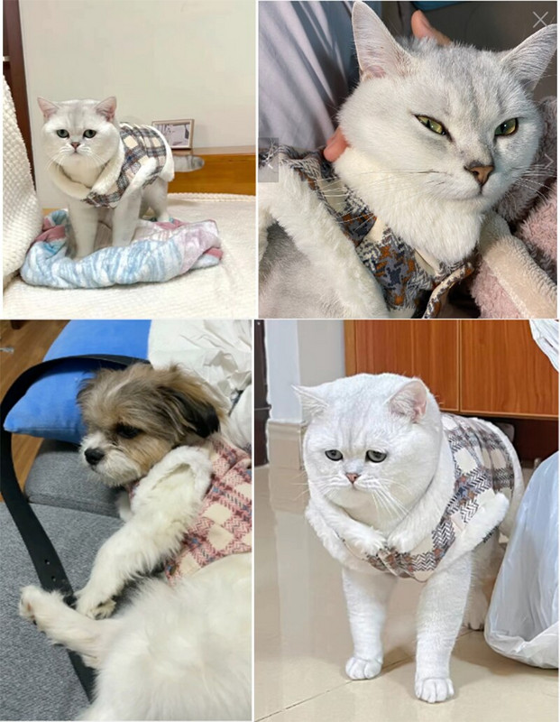 Oblečenie pre psov pre čivavy, yorkshirské teriérky, kockovaný kabát s plyšovou kožušinou, vesta z umelej kožušiny, jeseň/zima, bunda s teplým psím kostýmom