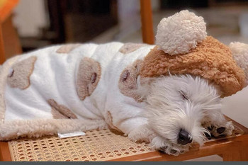 Ζεστό παλτό για κουτάβι για κατοικίδια Bear Cape Ζεστό πάπλωμα για σκύλους Κουβέρτα για κατοικίδια Κουβέρτα ακρωτηρίου ακρωτήριο Schnauzer Corgi γάτα παλτό σχεδιαστής ρούχα για σκύλους Δώρο