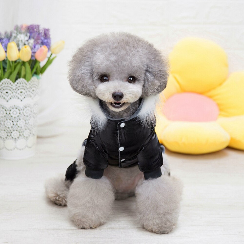 Teplé oblečenie pre psov s bavlnenou podšívkou, viacfarebné, štyri nohy, super zahustené kombinézy pre psov, Roupa Pet Cachorro, chovateľské potreby