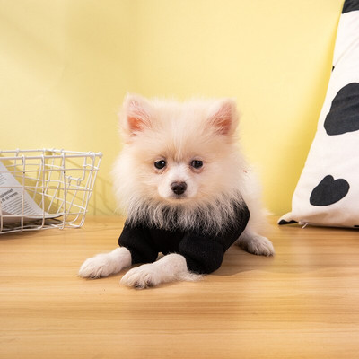 Γκρι πολυτελές πουλόβερ σκύλου Μόδα Ρούχα κατοικίδιων για μικρά σκυλιά Chihuahua Γαλλικό μπουλντόγκ Κουτάβι Πλεκτό Χειμερινό σκύλο Jumper XS-XXL