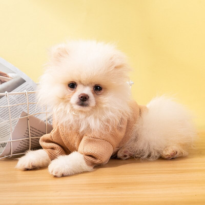 Γκρι πολυτελές πουλόβερ σκύλου Μόδα Ρούχα κατοικίδιων για μικρά σκυλιά Chihuahua Γαλλικό μπουλντόγκ Κουτάβι Πλεκτό Χειμερινό σκύλο Jumper XS-XXL