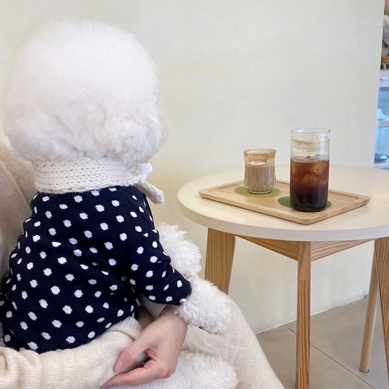 Taškeliais rašyti rudens ir žiemos megzti megztiniai šunims drabužiai Šilti šuniuko Čihuahua Jorkšyro šunų megztinis mažiems šunims