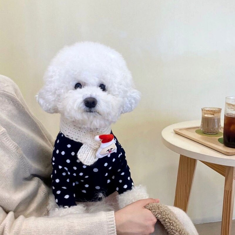 Taškeliais rašyti rudens ir žiemos megzti megztiniai šunims drabužiai Šilti šuniuko Čihuahua Jorkšyro šunų megztinis mažiems šunims