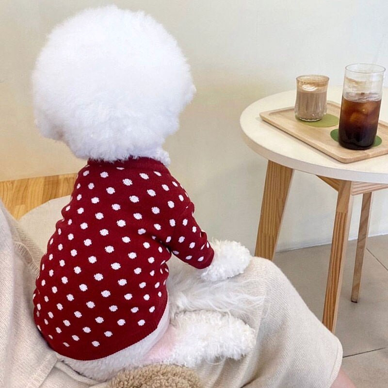 Taškeliais rašyti rudens ir žiemos megzti megztiniai šunims drabužiai Šilti šuniuko Čihuahua Jorkšyro šunų megztinis mažiems šunims