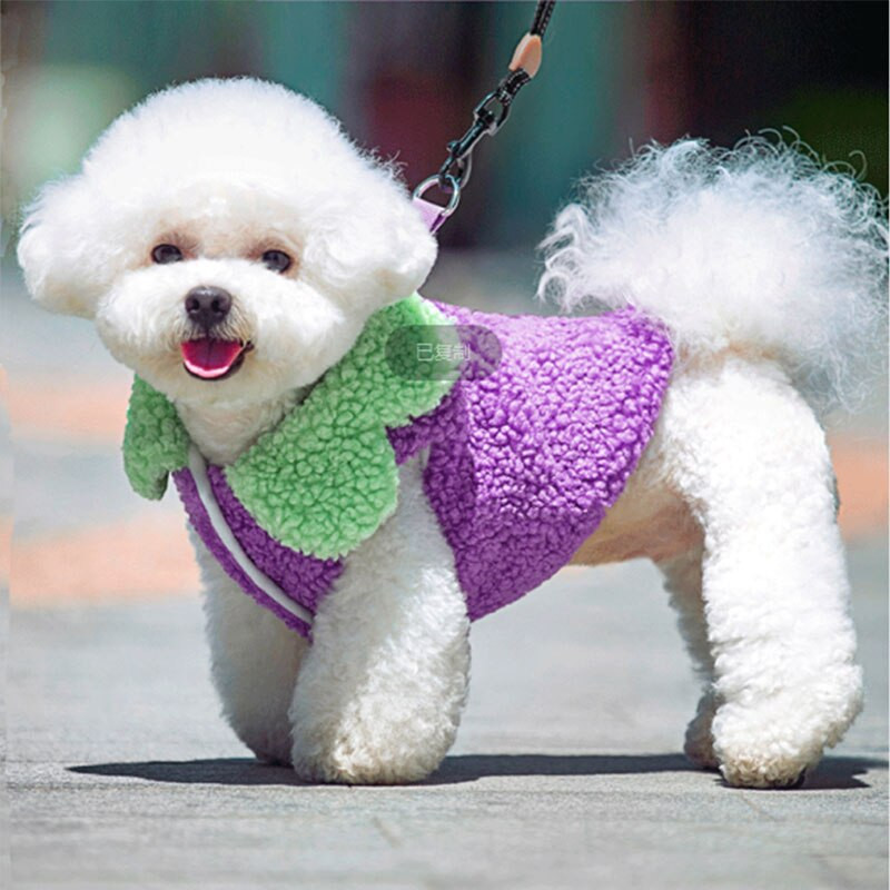 Oblečenie pre psov, jeseň a zima, plyšové hračky pre šteniatka a mačiatka, teplý kabát, mrkva, baklažán, štýlový sveter, módne roztomilé oblečenie pre domáce zvieratá