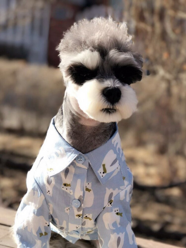 Cămașă pentru câini cu imprimeu urs polar Cățeluș Haine pentru pisici Pudel Teddy Haine pentru câini Cămașă pentru câini de talie mică Haine de toamnă și iarnă pentru animale de companie