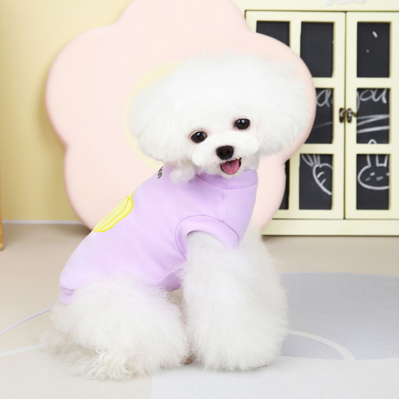 Haine pentru animale de companie, toamnă iarnă, pulover câine mic, model de fructe dulci, vestă de pisoi drăguț, pulover cald, chihuahua, caniș Yorkshire