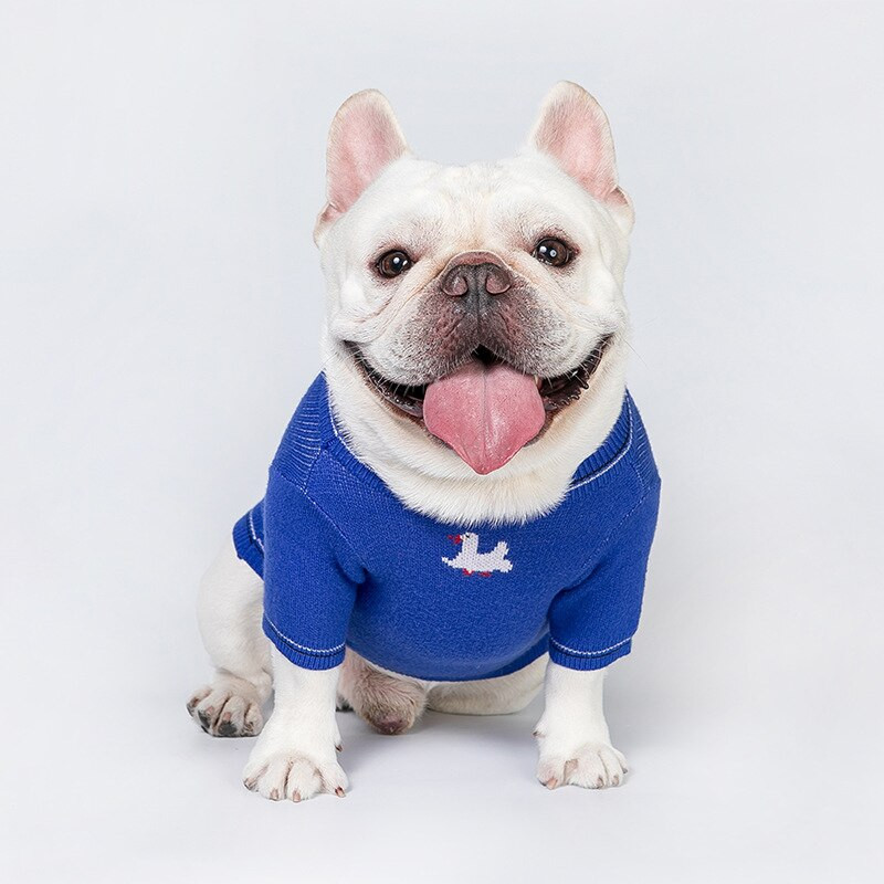 Pisică Drăguț Pulovere Animal de companie Câine Toamnă Iarnă Pulover Îmbrăcăminte Câini Mici Medii Costum Imprimat Gâscă Chihuahua Haine albastre