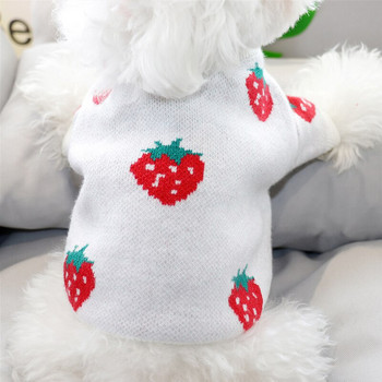 Φθινοπωρινό/Χειμώνα Πουλόβερ με εκτύπωση φράουλα για κατοικίδια Μικρή γάτα σκυλιών Teddy Bichon Hiromi Schnauzer Yorkshire Poodle Dog Ρούχα