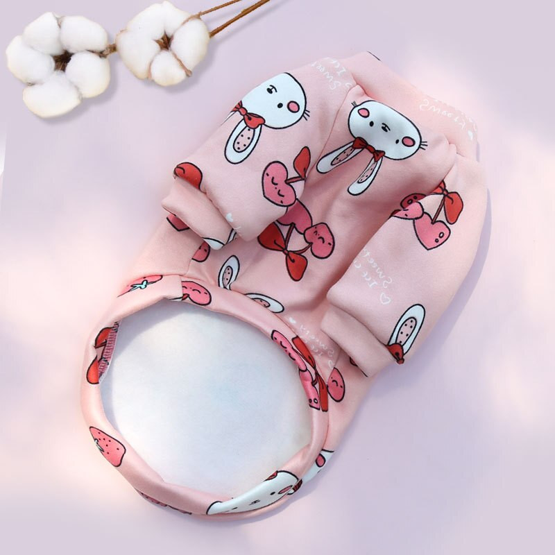 2021 haine noi pentru câini de companie pentru câini de talie mică, haine super drăguțe chihuahua pomeranian, hanorac pentru câini, pulover cald de iarnă, sfinx, pisică