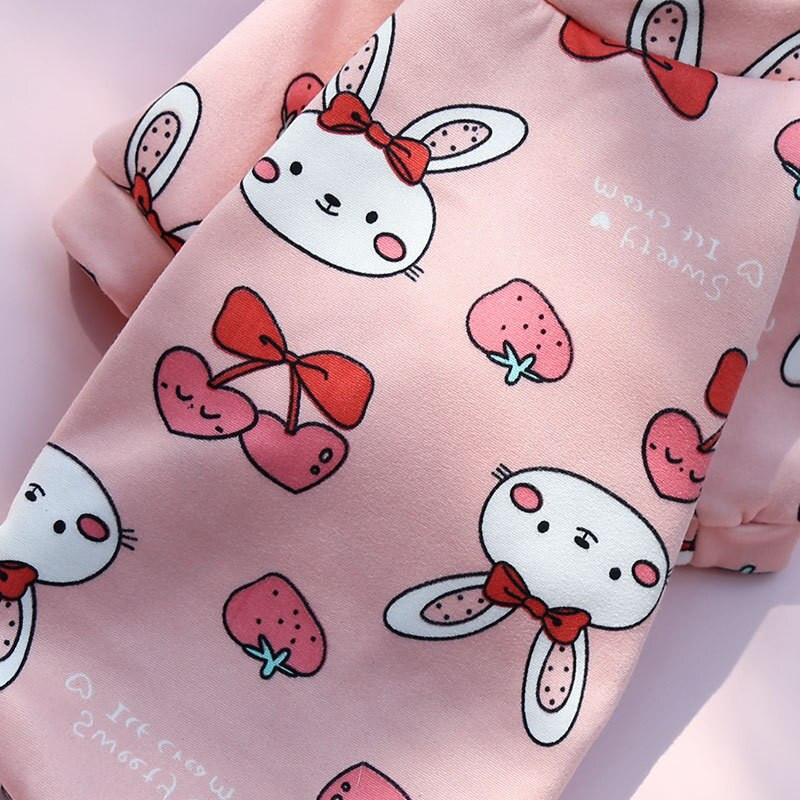 2021 haine noi pentru câini de companie pentru câini de talie mică, haine super drăguțe chihuahua pomeranian, hanorac pentru câini, pulover cald de iarnă, sfinx, pisică