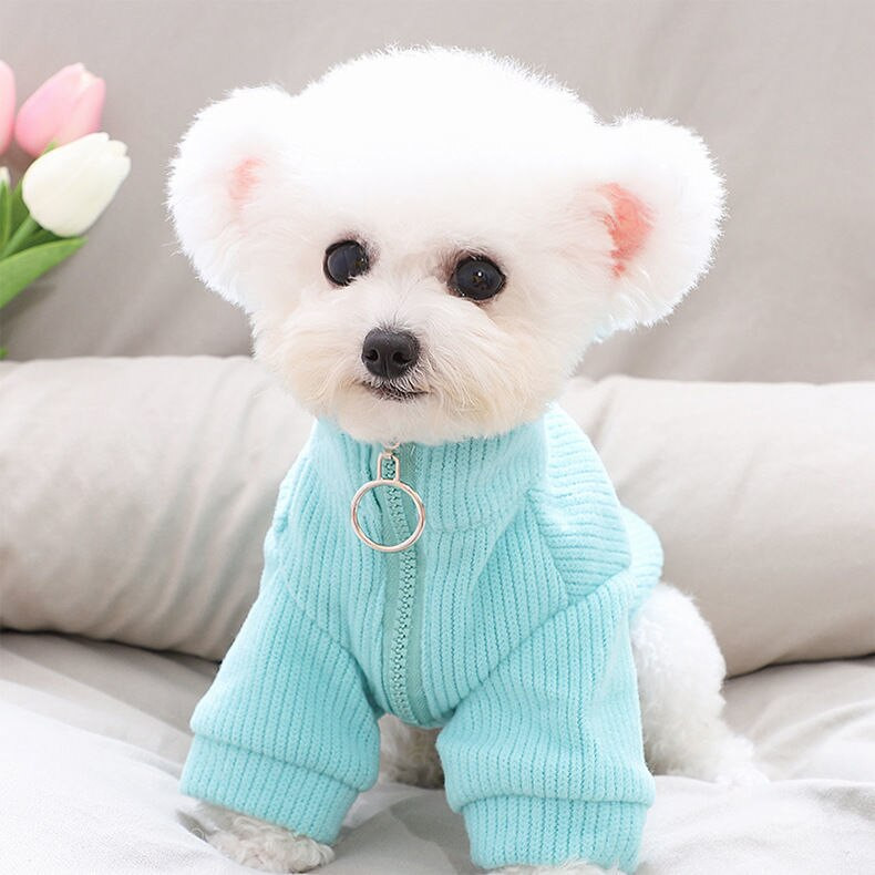 [2021. aasta kuum müük]Kassiriided karvade vastu ja talvel soojad jalad Teddy Bichon Pommeri väike koer, lemmikloom koer kass kassi riided