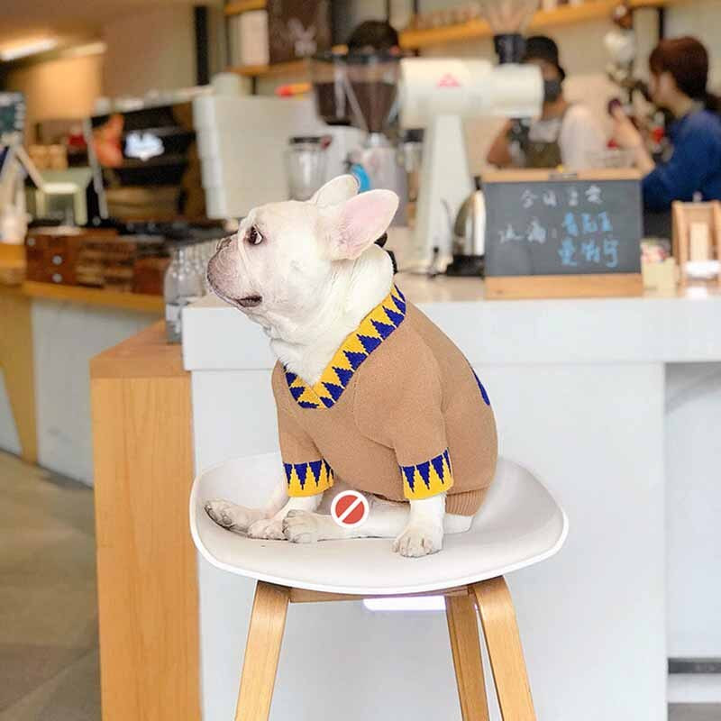 Talvine prantsuse buldogi koerte riided kutsika kassi kampsun Moebränd Lemmikloomade riided Väikeste ja keskmiste koerte dressipluus kudumine kapuuts