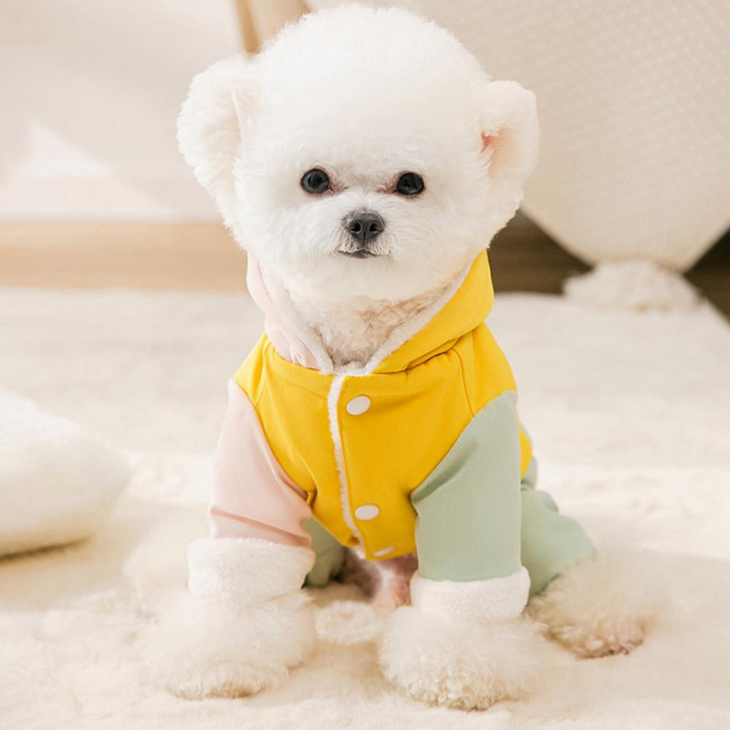 Suurepärane koera jope värvi blokeeriv kleit-up tasku Decor Koera kutsika kapuutsiga nelja jalaga talvejope