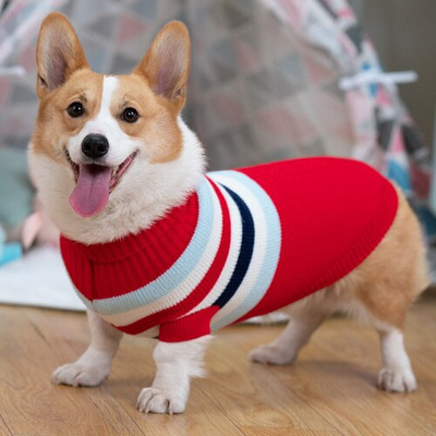 Oblečenie pre waleského corgiho, francúzskeho buldočka, zimný sveter pre psa, outfit, pudel, bišon, bradáč, oblečenie pre domáce zvieratá, pletený kostým, dropshipping