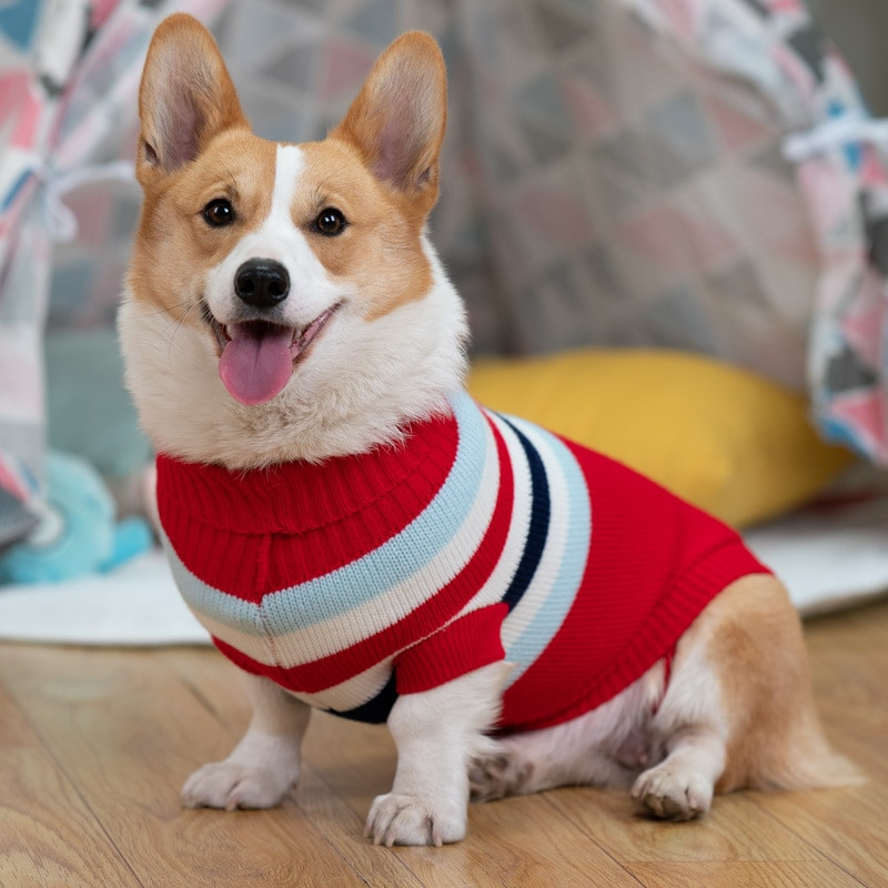 Oblečenie pre waleského corgiho, francúzskeho buldočka, zimný sveter pre psa, outfit, pudel, bišon, bradáč, oblečenie pre domáce zvieratá, pletený kostým, dropshipping