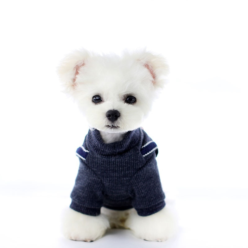 Naminių gyvūnėlių koledžo stiliaus megztiniai drabužiai mažiems dideliems šunims, katėms, žieminiams lankams, kombinezonas, mielas dvikojis kostiumas XS-XL ropa perros