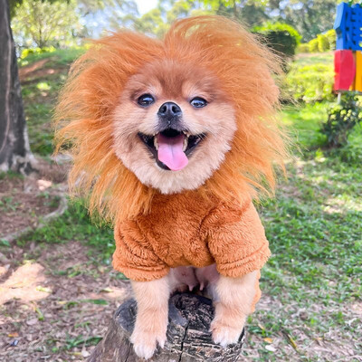 Hanorace din lână Animale Îmbrăcăminte reglabilă pentru câini Costum confortabil Durabil pentru cățeluș Câini drăguți Furnizor de accesorii pentru animale de companie minunat