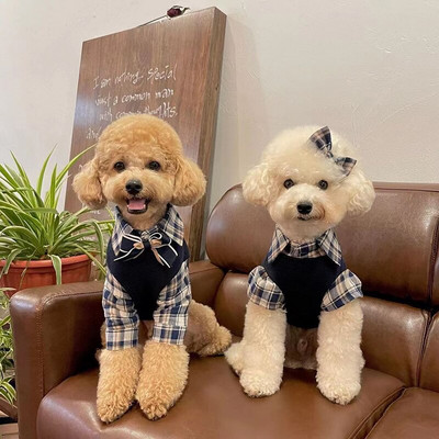 INS Campus Series of Autumn Winter Pet Clothes Karid Knit Shirt Fake Two Pieces Dog Bodysuit Puppy Chihuahua Maltese Dog Dress