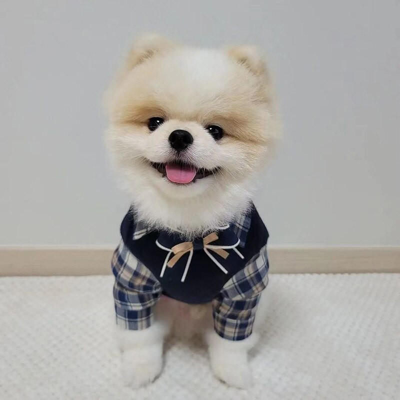 Σειρά INS Campus με φθινοπωρινά ρούχα για κατοικίδια, χειμερινά, καρό πλεκτό πουκάμισο ψεύτικο φόρεμα σκύλου δύο τεμαχίων για σκύλους φόρεμα μαλτέζικου σκύλου
