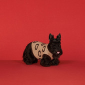 Lemmiklooma kampsun sügistalvine vest Puuvillane kassiriided mood koera kampsun