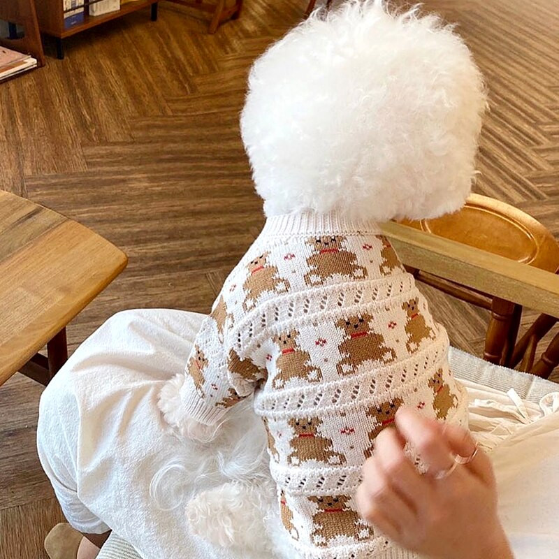 Pletena odjeća za pse s otvorenim gumbima Pulover za štene Šnaucer Odjeća za medvjeda iz crtanog filma Topla zimska odjeća za ljubimce Bichon Meka odjeća