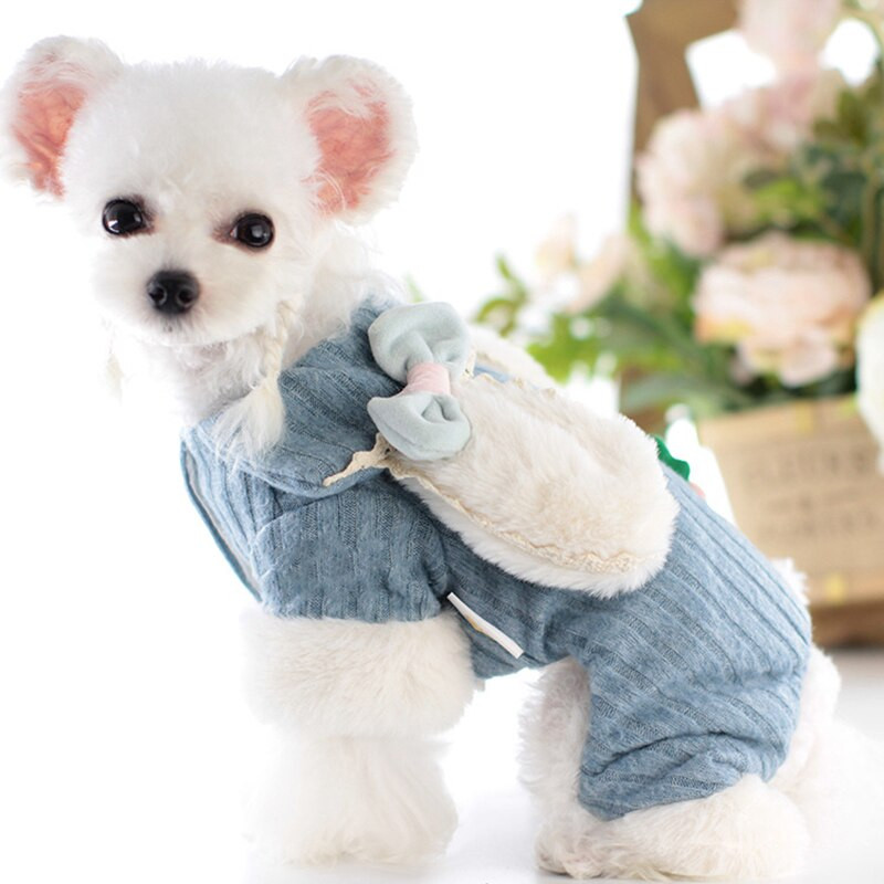 Zahustené oblečenie pre psov a mačky, zimné teplé domáce zvieratá, páperový kabát, oblečenie pre mačky s plyšovým Chihuahua Comfort Soft Pets Dodávky