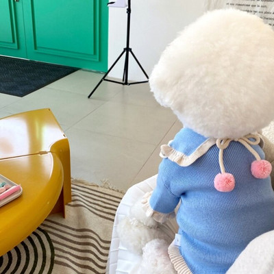 Jesenné a zimné oblečenie pre psov, sveter pre domáce zvieratá, mačací kabát, kardigan, sladká košeľa s golierom, mikiny s kapucňou pre psov, oblečenie Yorkshire, Ropa Perro