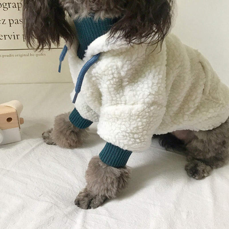 Hanorace drăguțe pentru câini, haine de iarnă pentru câini, vestă de pluș cu glugă, haină din lână, jachetă pentru câini de talie mică, îmbrăcăminte chihuahua, cățeluș