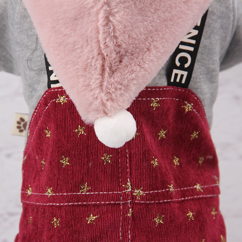 Kapuutsid Koerad Kassiriided Talvine soe paks tärniga trükkimine Palusriietega Lemmikloomariietega Koera kombinesoon väikestele koertele Lemmikloomad Jope mantel