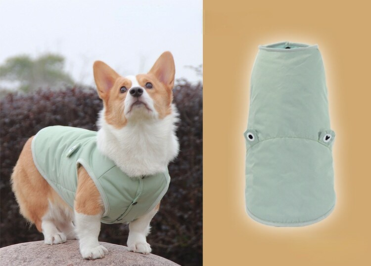 Costum de câine drăguț îmbrăcăminte căptușită din bumbac, impermeabil, pentru buldog francez, cățeluș, pisici, articole de toamnă și iarnă pentru animale de companie