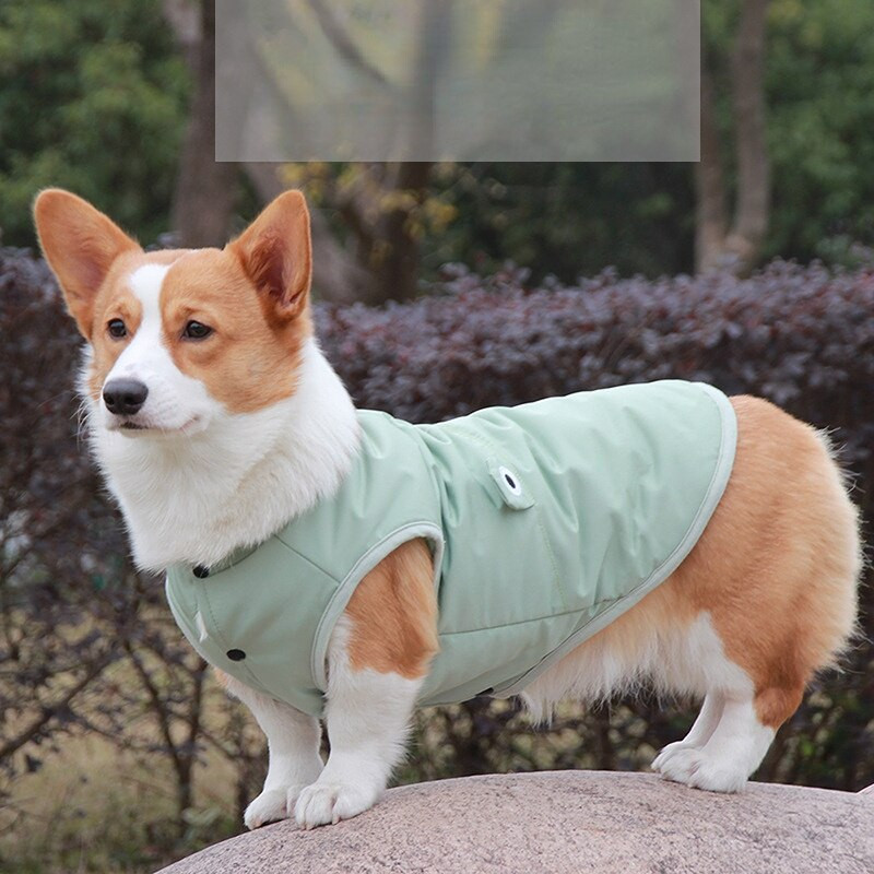 Costum de câine drăguț îmbrăcăminte căptușită din bumbac, impermeabil, pentru buldog francez, cățeluș, pisici, articole de toamnă și iarnă pentru animale de companie