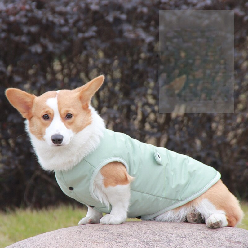 Costum de câine drăguț îmbrăcăminte căptușită din bumbac, impermeabil, pentru buldog francez, cățeluș, pisici, articole de toamnă și iarnă pentru animale de companie