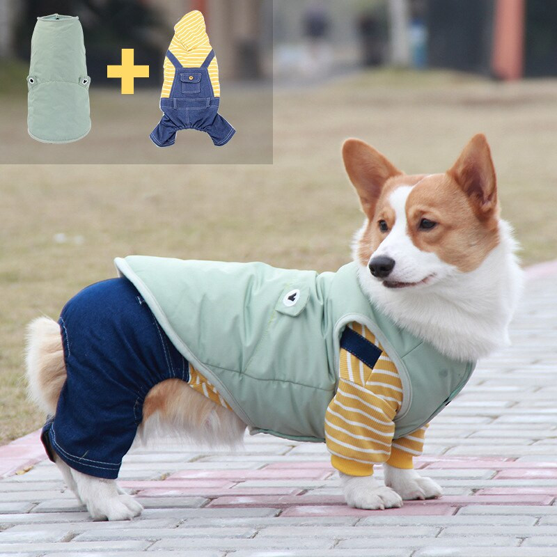 Costum de câine drăguț îmbrăcăminte căptușită din bumbac, impermeabil, pentru buldog francez, cățeluș, pisici, articole de toamnă și iarnă pentru animale de companie