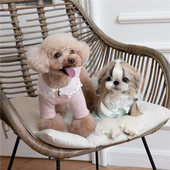 Roztomilý pes tričko sveter pletené oblečenie zimné oblečenie pre domáce zvieratá kabát čivava mačka yorkshirský teriér oblečenie bišon pudel kostým S