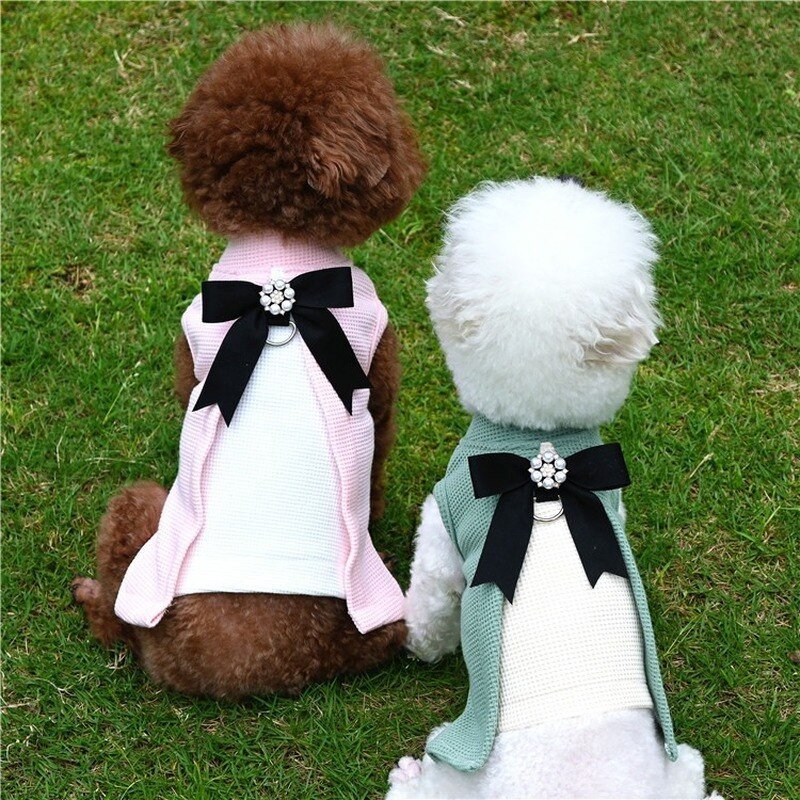 Haină pentru animale de companie, primăvară toamnă, câine mic, mijlociu, pisică, pulover de modă, ham drăguț, cățeluș, vestă de lux, jachetă pentru pisoi, chihuahua, pudel, Yorkie