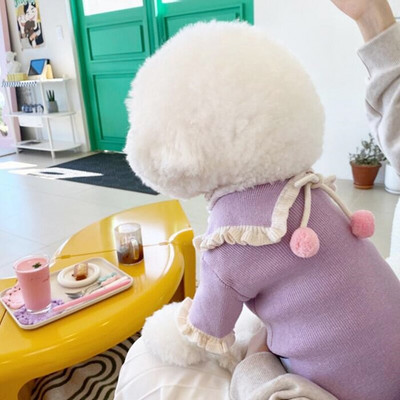 Animal de companie Pulover cu cireșe Cămașă cu fundul Pomeranian Cățeluș Îmbrăcăminte caldă de iarnă Teddy Pulover din tricot de culoare solidă Haine pentru câini la modă