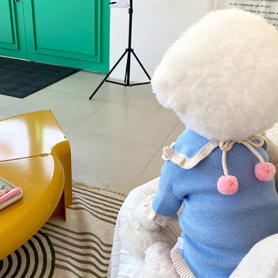 Animal de companie Pulover cu cireșe Cămașă cu fundul Pomeranian Cățeluș Îmbrăcăminte caldă de iarnă Teddy Pulover din tricot de culoare solidă Haine pentru câini la modă