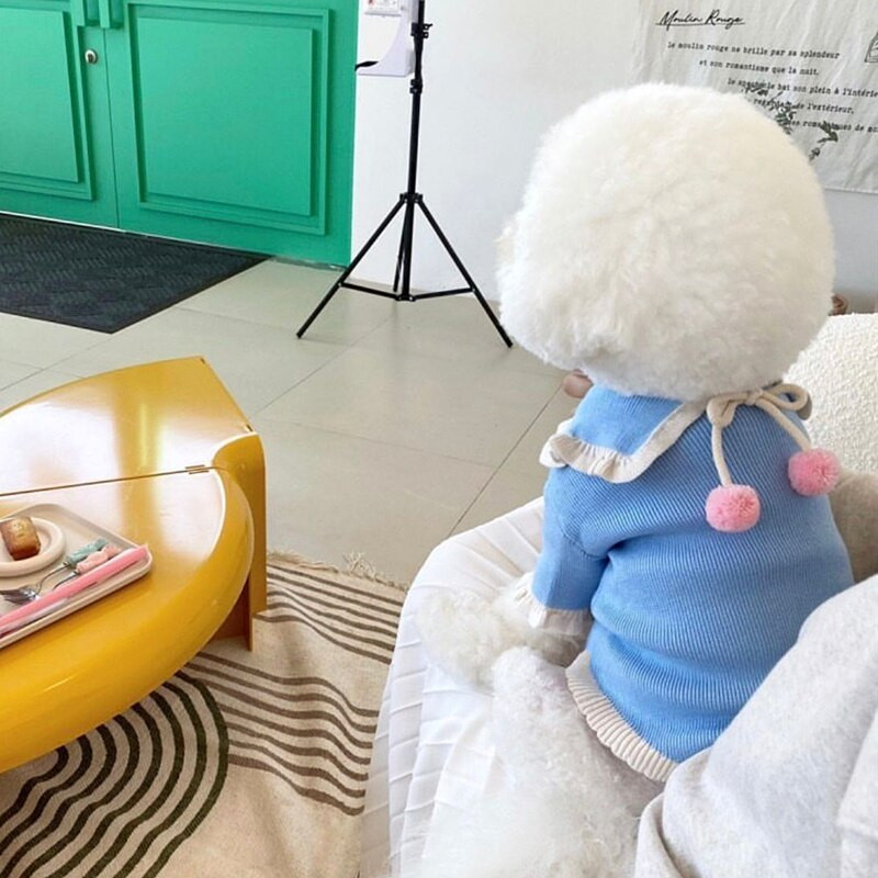 Animal de companie Pulover cu cireșe Cămașă cu fundul Pomeranian Cățeluș Îmbrăcăminte caldă de iarnă Teddy Pulover din tricot de culoare solidă Haine pentru câini la modă